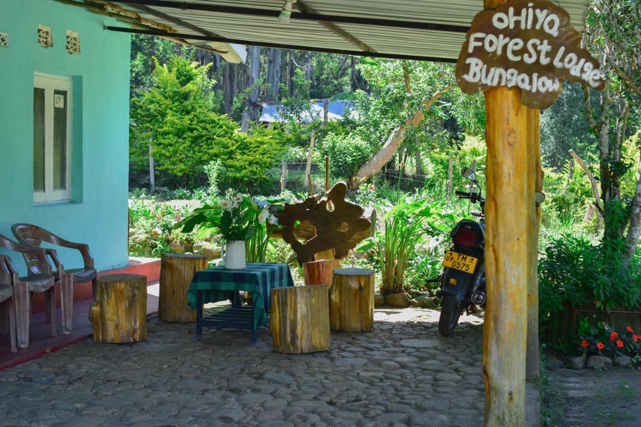 Ohiya Forest Lodge Exterior photo